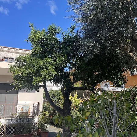 Porpora بومبيي