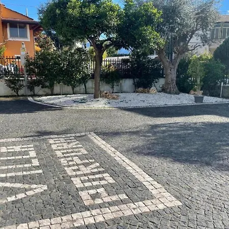 Porpora *